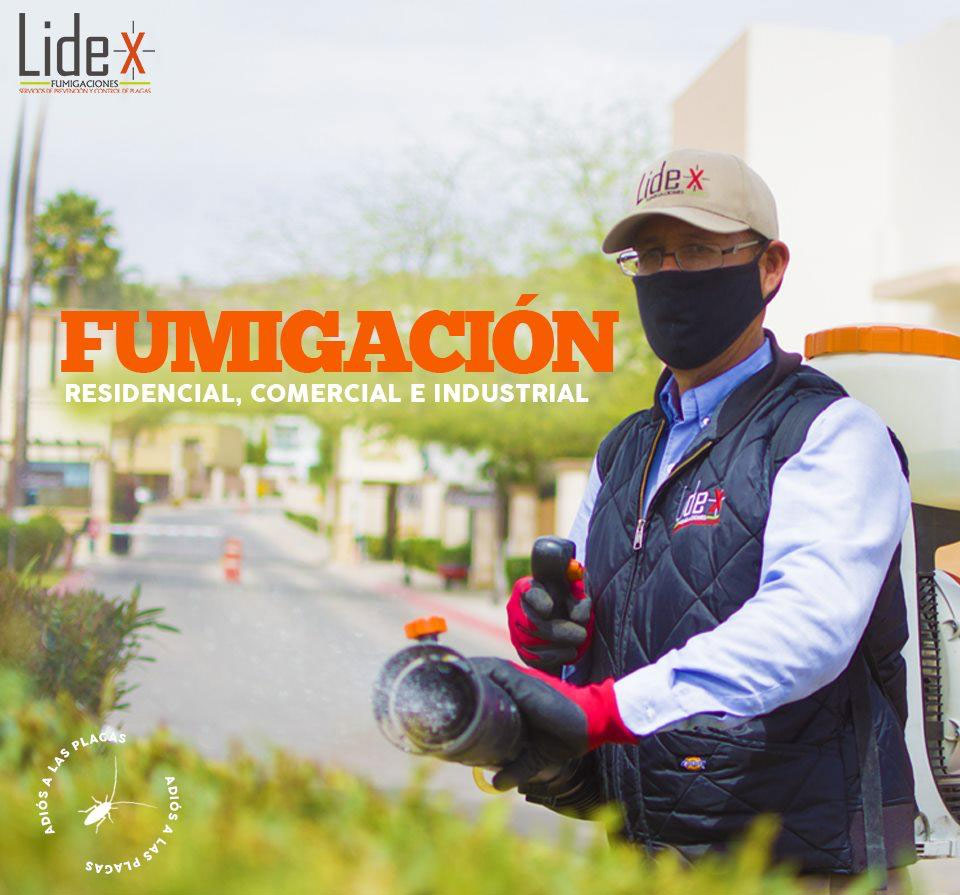 fumigacion
